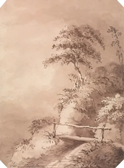 Footbridge Over Hilly Stream