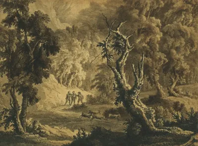 Footpads In A Forest