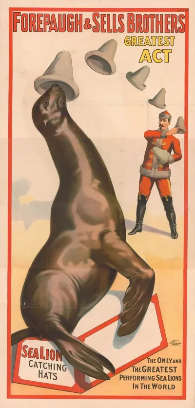 Forepaugh Sells Brothers Greatest Act The Only And The Greatest Performing Sea Lions In The World