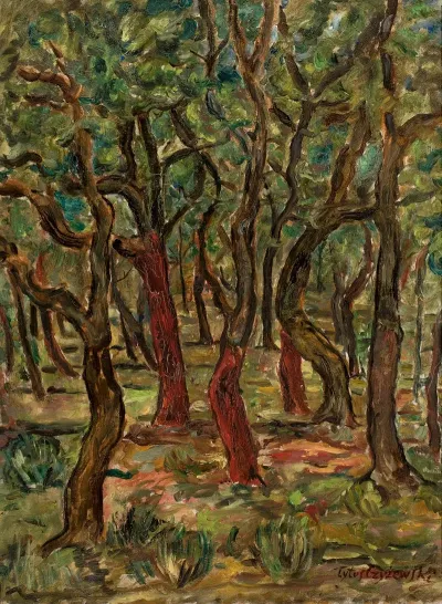 Forest 15