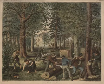 Forest 16