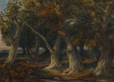 Forest 22