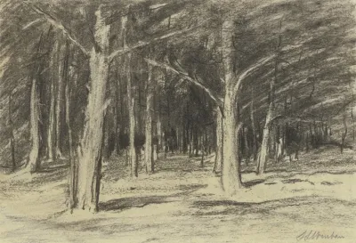 Forest 24