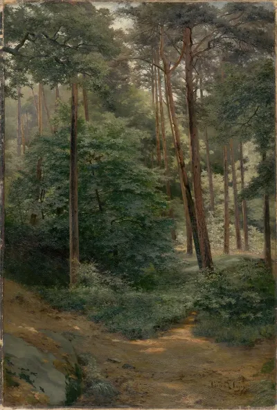 Forest 2