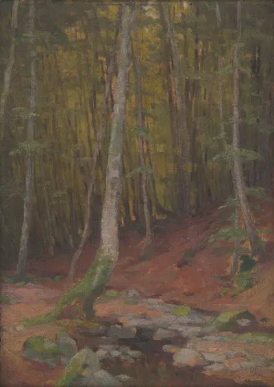 Forest 3