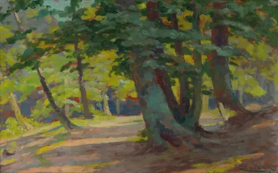 Forest 6