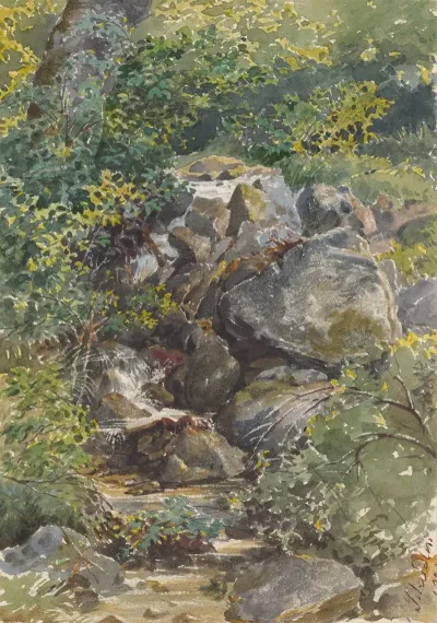 Forest Brook 3