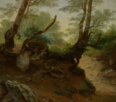Forest Corner