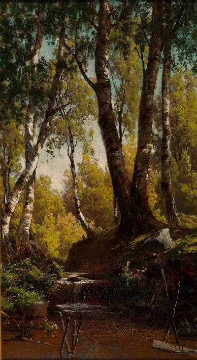 Forest Creek