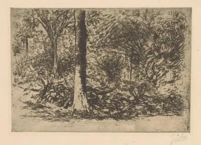 Forest Edge 3