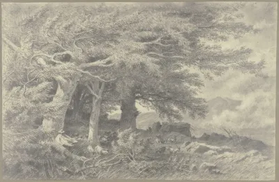 Forest Edge With Herd Of Goats