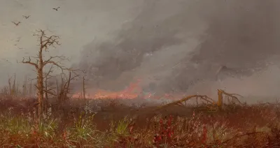 Forest Fire