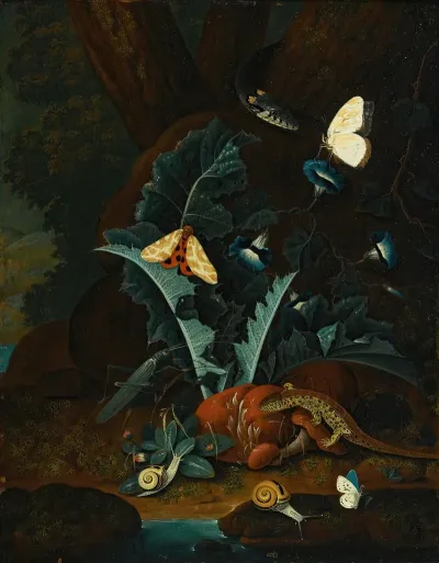 Forest Floor Still Life With Snails A Lizard A Grasshopper Moths And A Snake