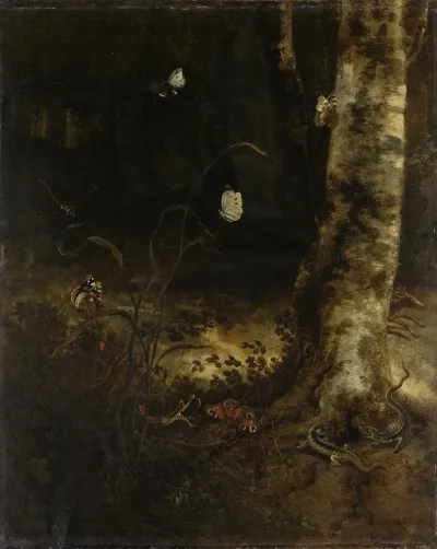 Forest Floor With A Snake Lizards Butterflies And Other Insects