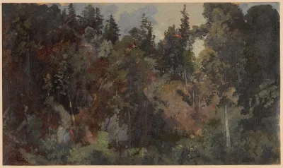 Forest Growing On A Mountain Slope