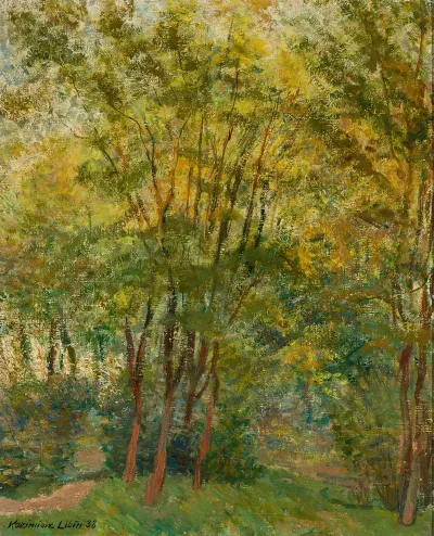 Forest In Autumn 2