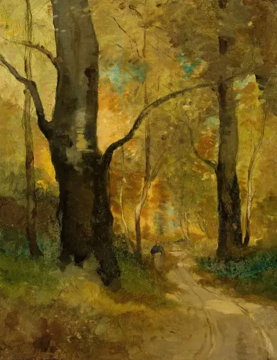 Forest In Autumn