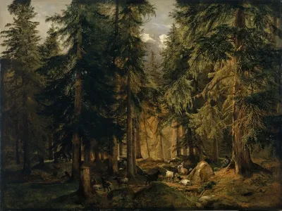 Forest In The High Mountains With Flock Of Goats