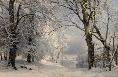 Forest In Winter 2