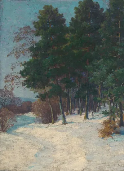 Forest In Winter