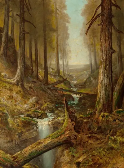 Forest Interior 4