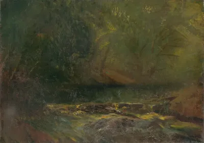 Forest Interior With A Brook
