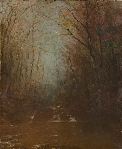 Forest Interior With Stream