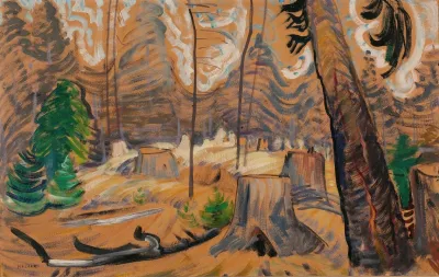 Forest Interior