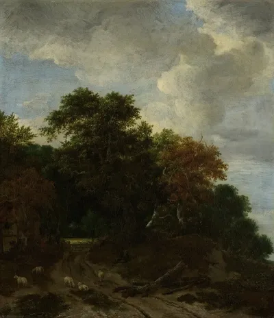 Forest Landscape 14