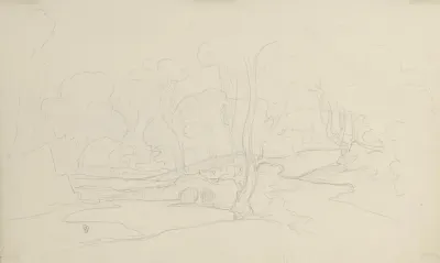 Forest Landscape 15