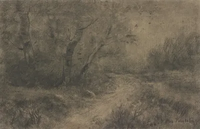 Forest Landscape 16