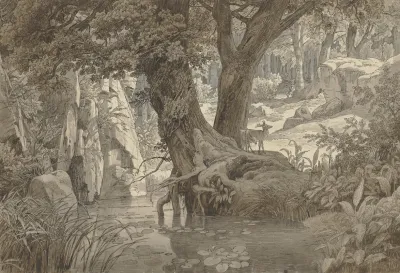 Forest Landscape 19