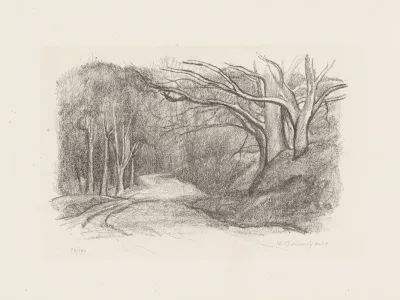 Forest Landscape 25