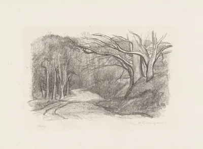 Forest Landscape 28