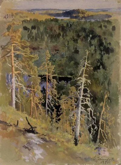 Forest Landscape 2
