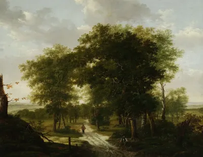 Forest Landscape 7
