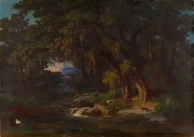 Forest Landscape In The Roman Mountains