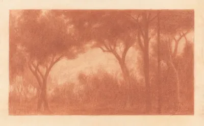 Forest Landscape With A Clearing