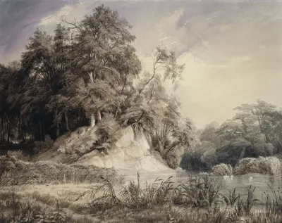 Forest Landscape With Lake And Swans