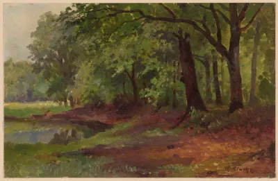 Forest Lanscape And A Pond