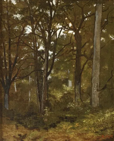 Forest Of Fontainebleau 2