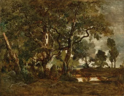 Forest Of Fontainebleau Cluster Of Tall Trees Overlooking The Plain Of Clair Bois At The Edge Of Ba