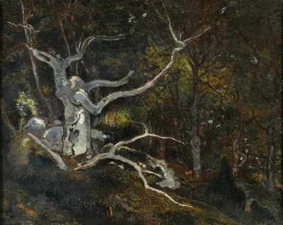 Forest Of Fontainebleau The Reine Blanche