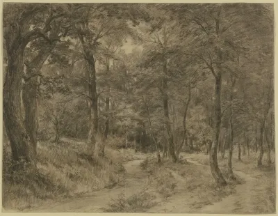 Forest Path 4