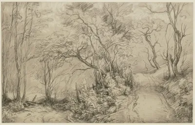 Forest Path 5