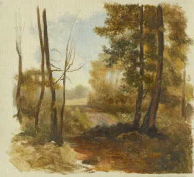 Forest Path
