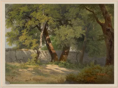 Forest Road In Albano