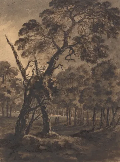 Forest Scene 11