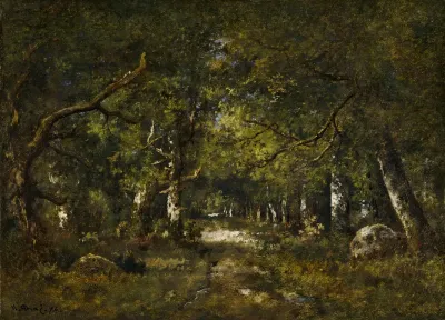 Forest Scene 3