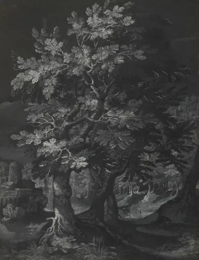 Forest Scene 6